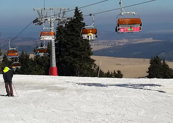 A La Montagne 3* Яхимов