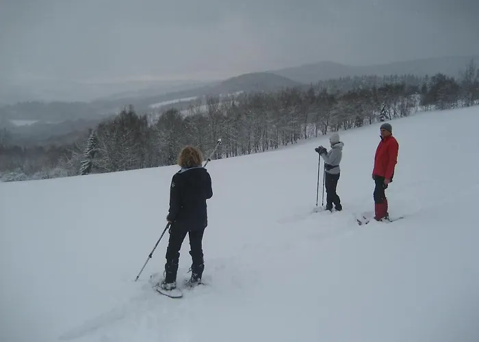 A La Montagne Nocleg ze śniadaniem 3*